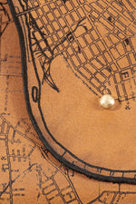 Load image into Gallery viewer, Nashville Map Clutch